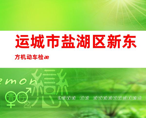 运城市盐湖区新东方机动车检测有限公司