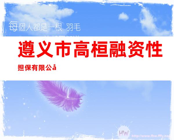 遵义市高桓融资性担保有限公司