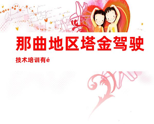 那曲地区塔金驾驶技术培训有限公司