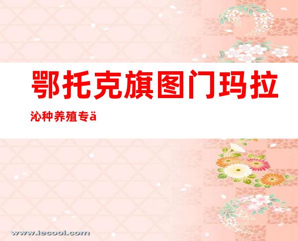 鄂托克旗图门玛拉沁种养殖专业合作社