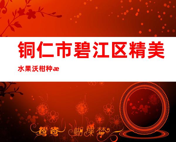 铜仁市碧江区精美水果沃柑种植农民专业合作社