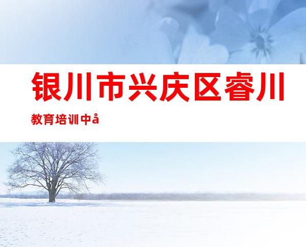 银川市兴庆区睿川教育培训中心有限公司
