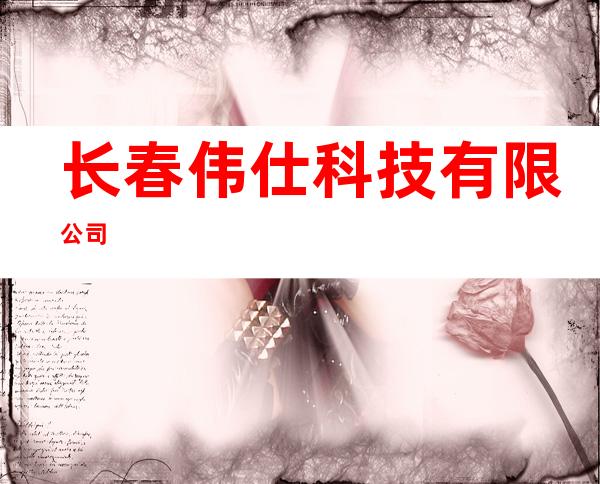 长春伟仕科技有限公司