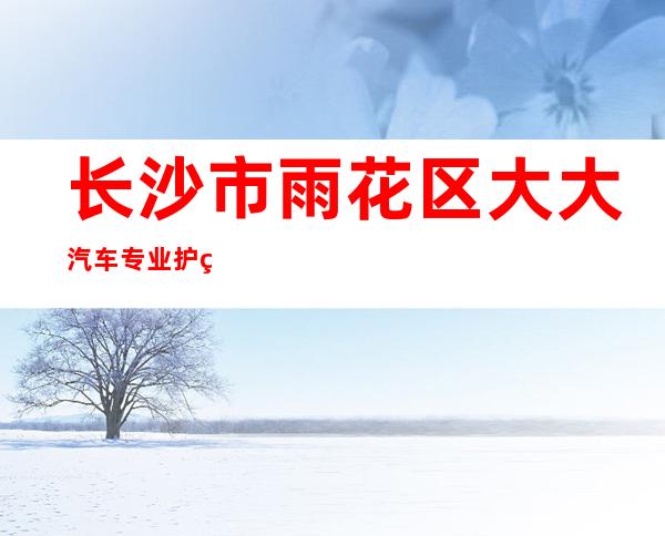 长沙市雨花区大大汽车专业护理车行