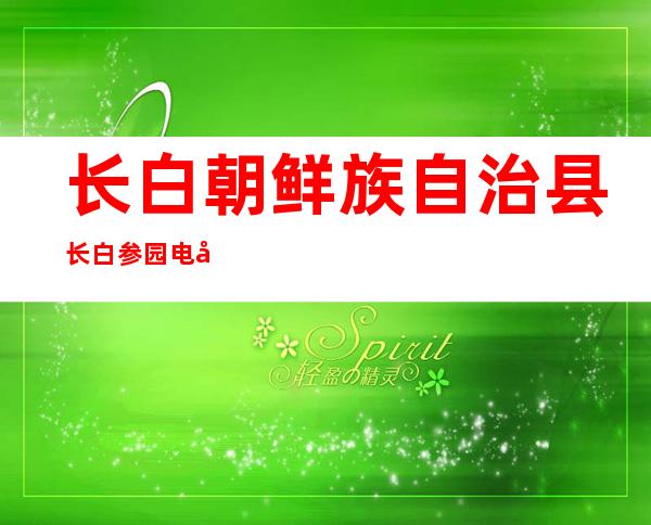 长白朝鲜族自治县长白参园电厂