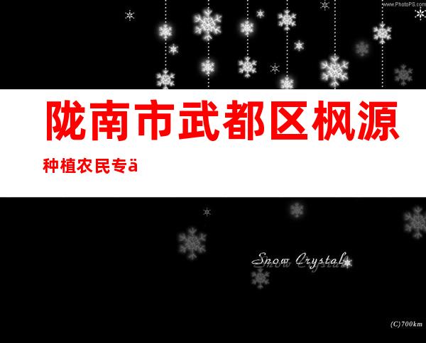 陇南市武都区枫源种植农民专业合作社
