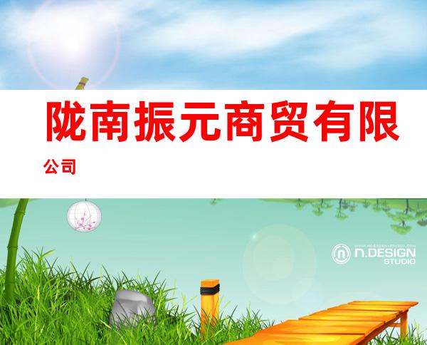 陇南振元商贸有限公司