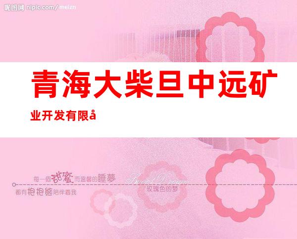 青海大柴旦中远矿业开发有限公司