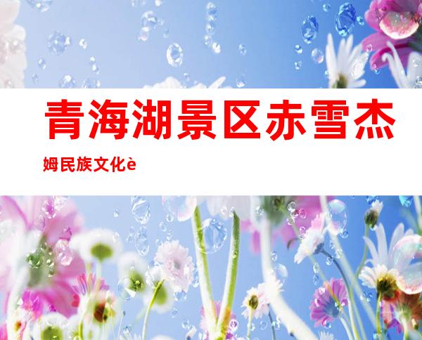 青海湖景区赤雪杰姆民族文化艺术传播专业合作社