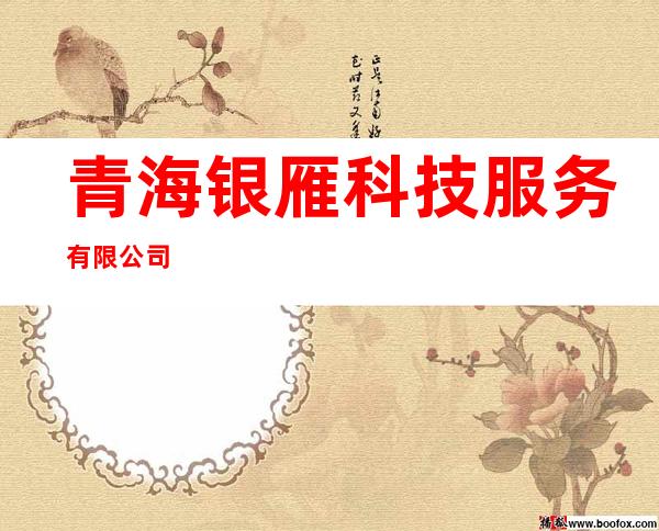 青海银雁科技服务有限公司