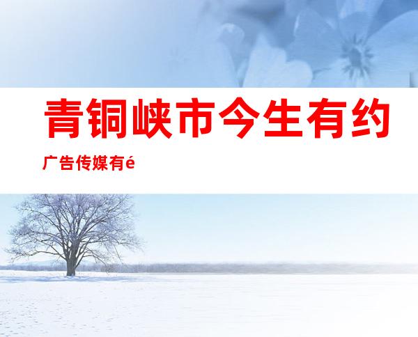 青铜峡市今生有约广告传媒有限公司