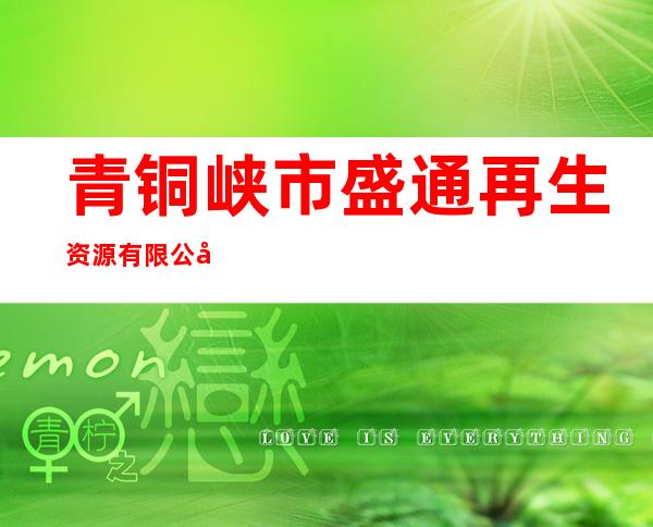 青铜峡市盛通再生资源有限公司