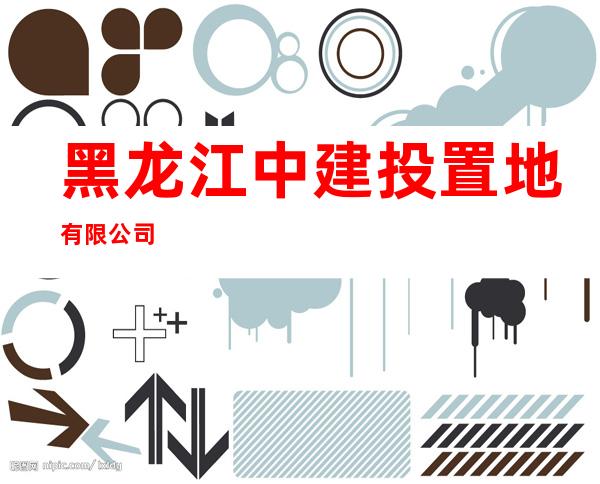 黑龙江中建投置地有限公司