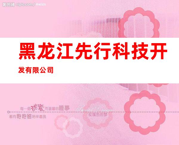 黑龙江先行科技开发有限公司