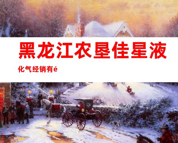 黑龙江农垦佳星液化气经销有限公司