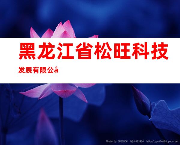 黑龙江省松旺科技发展有限公司