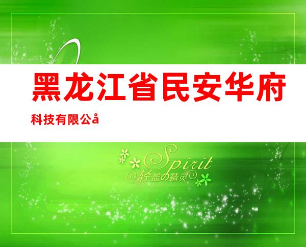 黑龙江省民安华府科技有限公司
