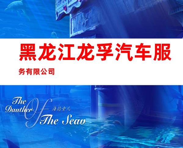 黑龙江龙孚汽车服务有限公司