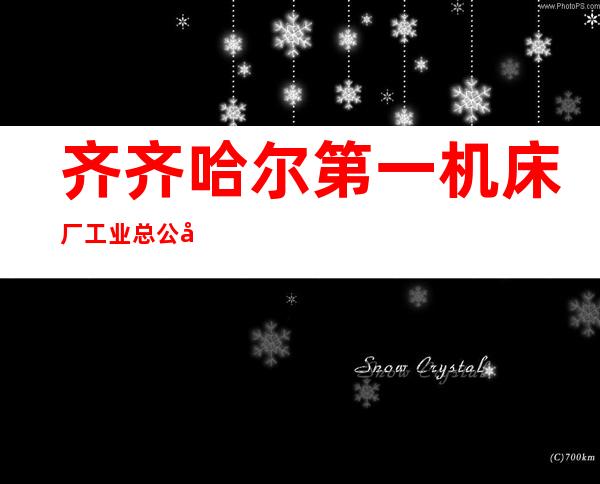 齐齐哈尔第一机床厂工业总公司机械设备公司
